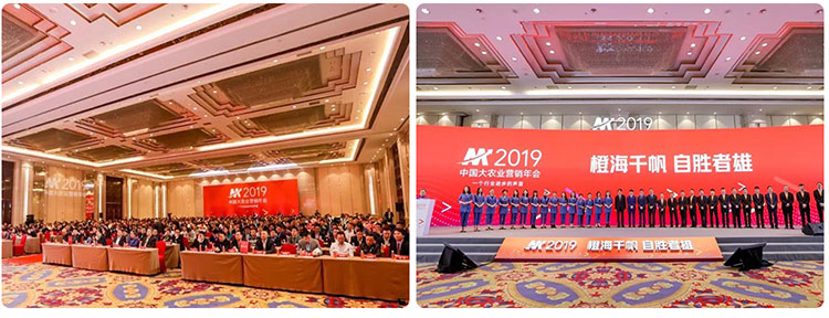 橙海千帆，自勝者雄！——賀2019中國大農(nóng)業(yè)營銷年會(huì)圓滿落幕！(圖3)