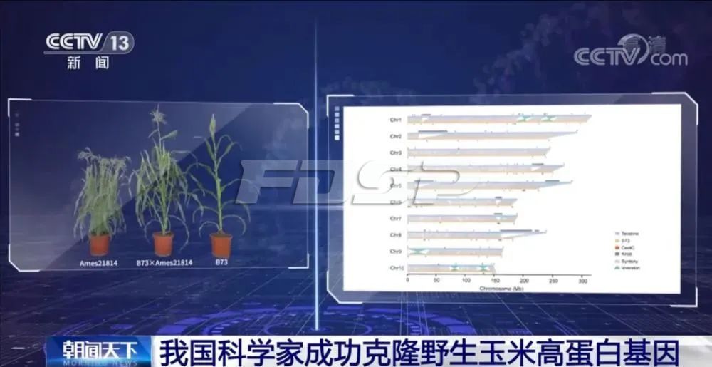 飼料行業(yè)福音！豆粕替代曙光出現(xiàn)(圖2)