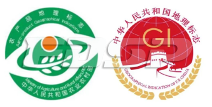 生物有機肥，即將迎來黃金十年？(圖5)