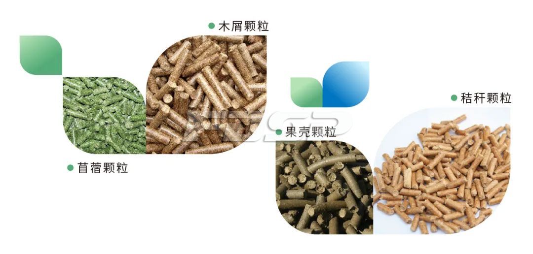 生物質(zhì)顆粒燃料工程
