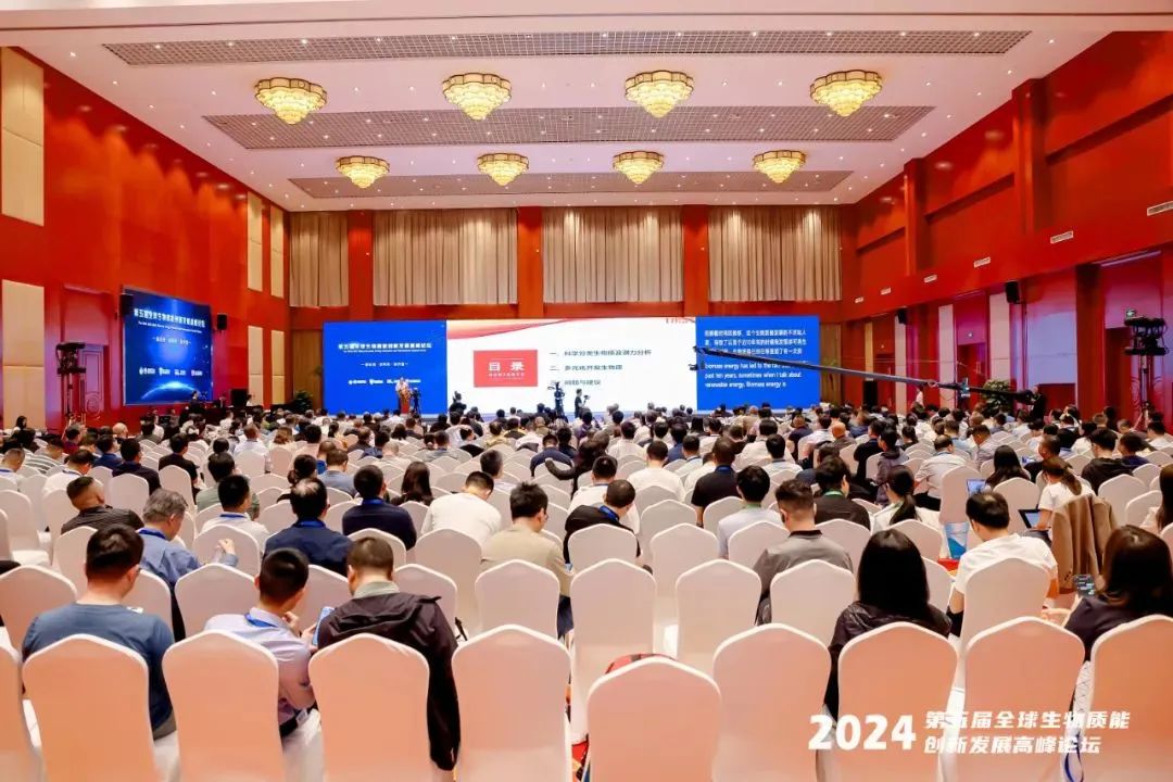 新征程，新利用，新價值 | 良友股份出席亮相2024（第五屆）全球生物質(zhì)能創(chuàng)新發(fā)展高峰論壇暨有機固廢資源(能源)化利用科技裝備展(圖1)