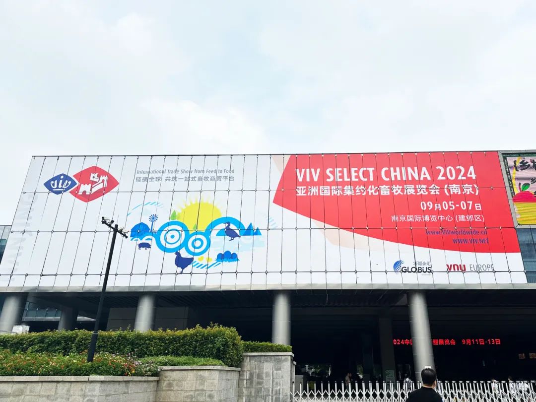 匯聚行業(yè)智慧，賦能畜牧未來(lái) | 良友股份亮相 VIV NANJING 2024 